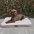 Beige Base Bed