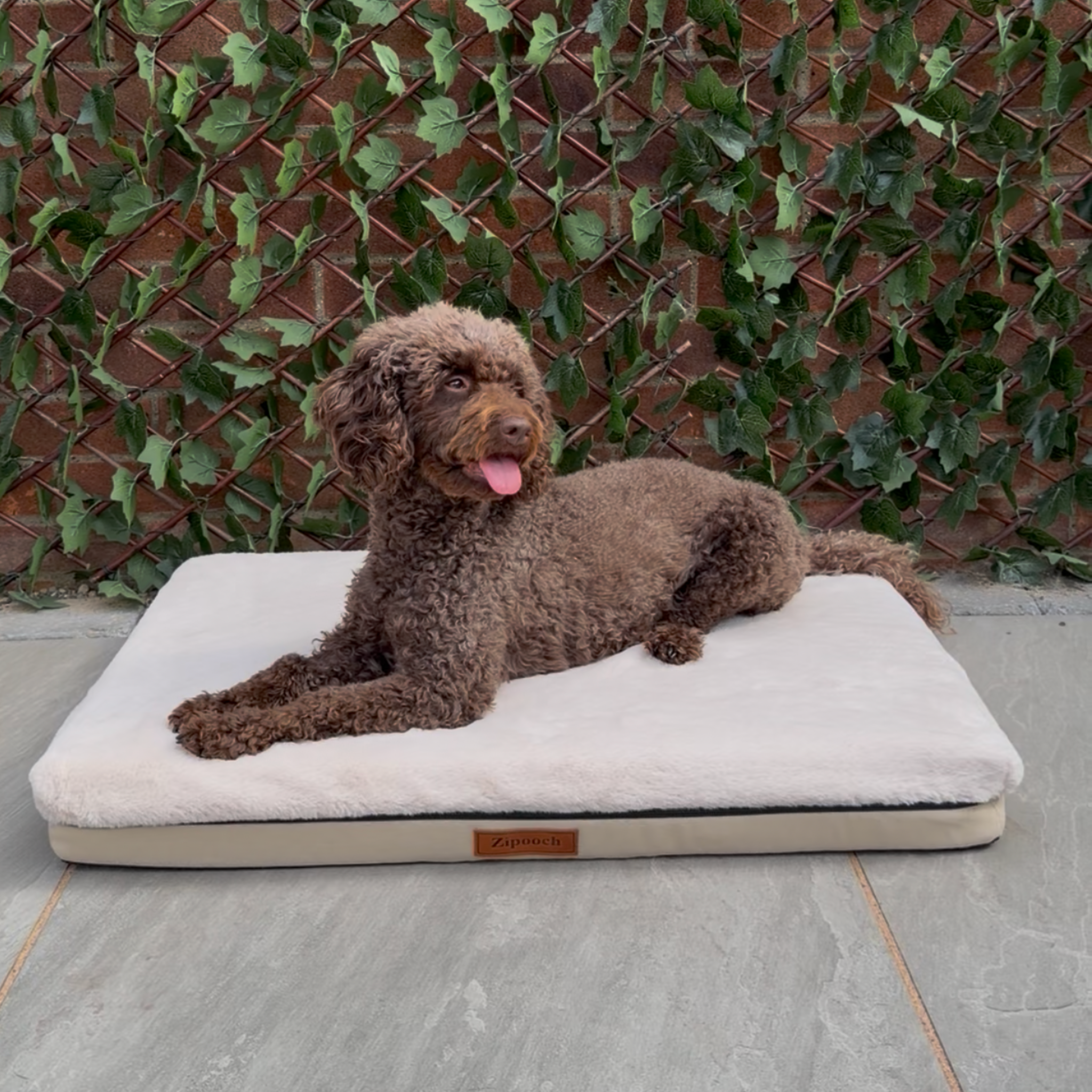 Beige Base Bed