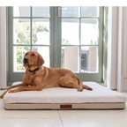 Beige Base Bed