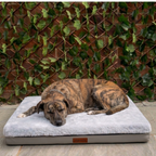 Light Grey Base Bed