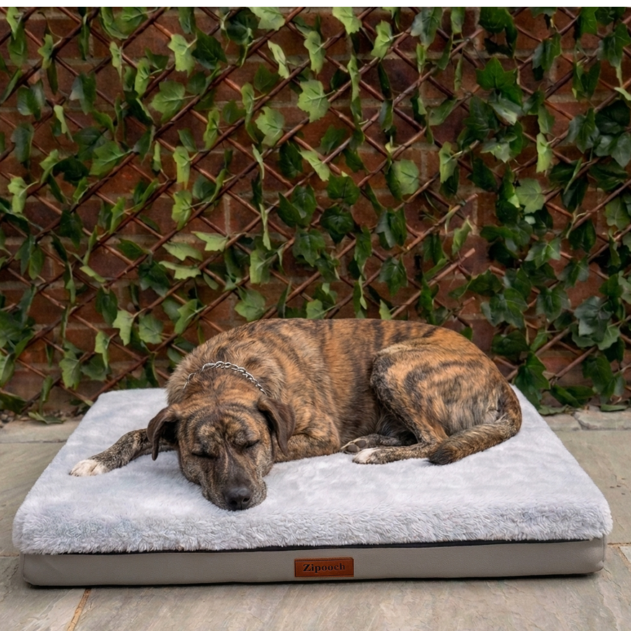 Light Grey Base Bed