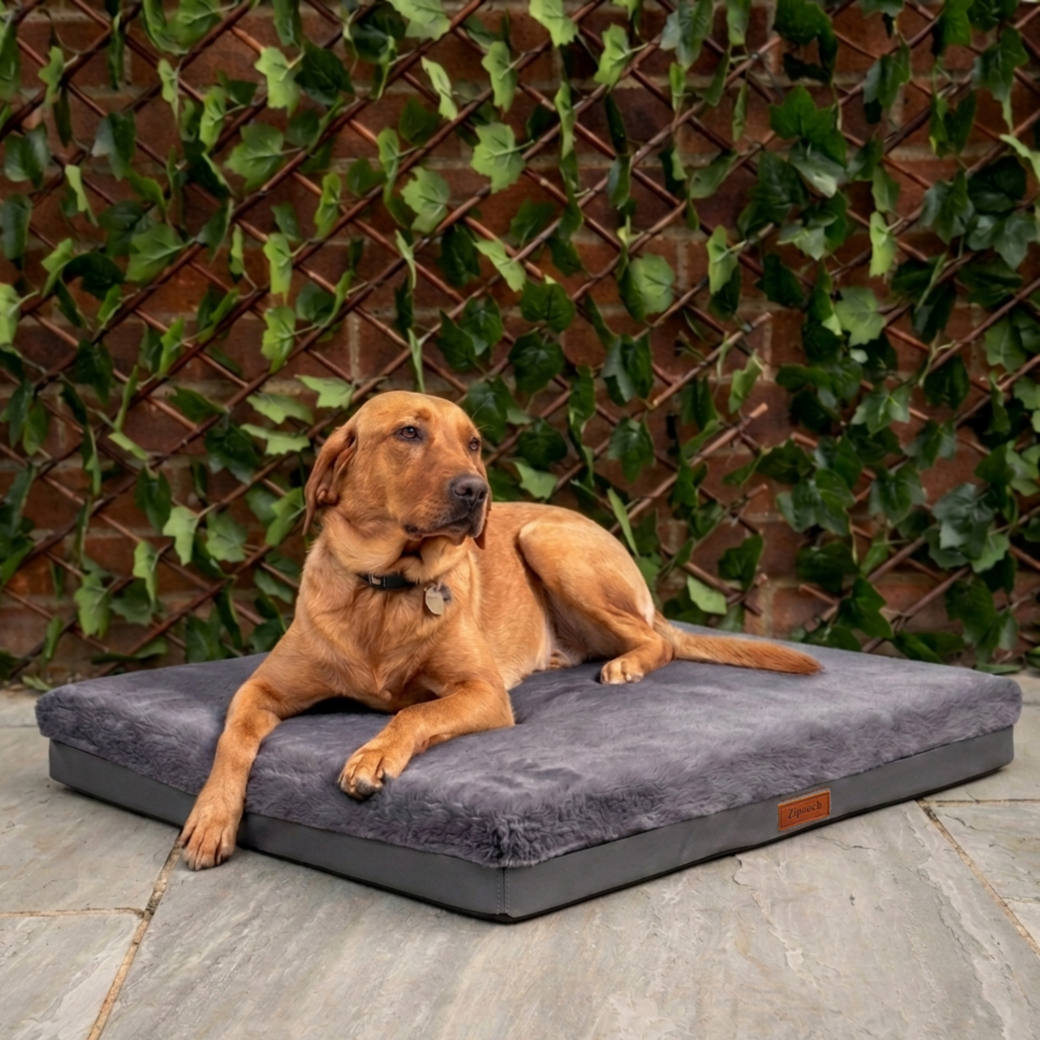 Dark Grey Base Bed