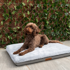 Light Grey Base Bed