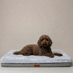 Stone Base Bed M