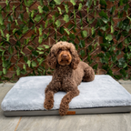 Light Grey Base Bed