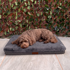 Slate Base Bed M