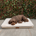 Oat Base Bed M